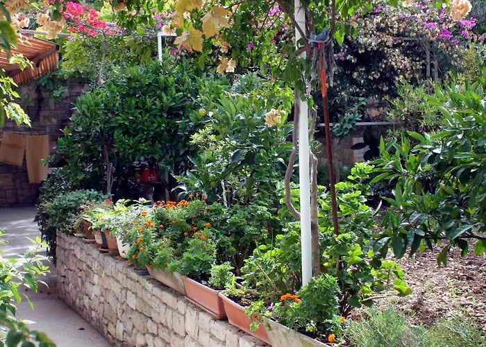 Triple Hvar 141a Guest house 3*